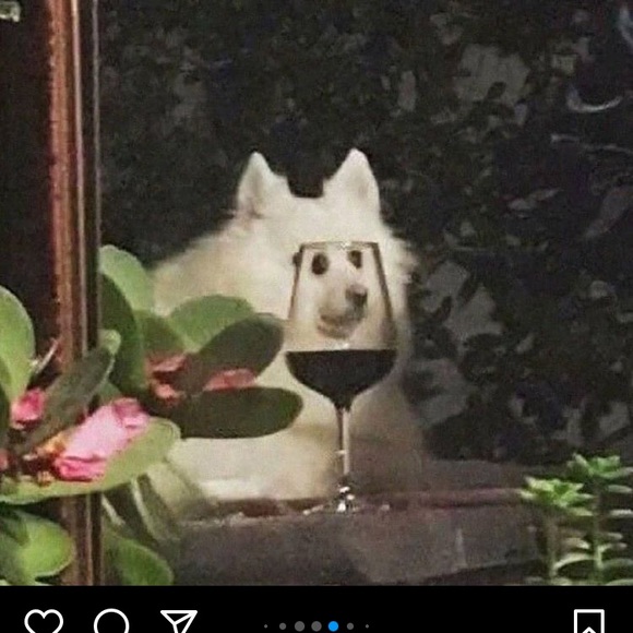 Meet your Posher, Paige - Picture 1 of 1